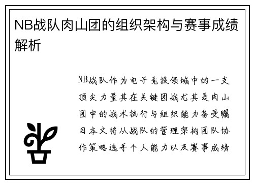 NB战队肉山团的组织架构与赛事成绩解析